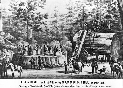 Pasted Image 20251107111040